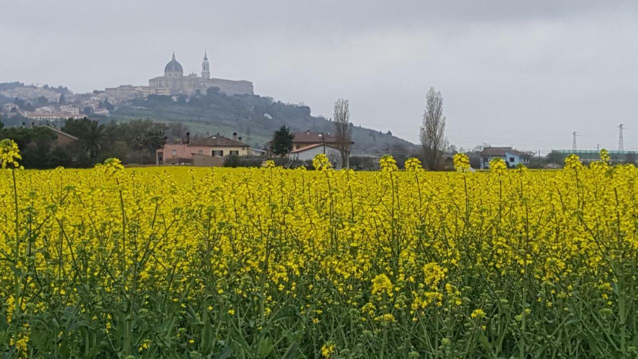 Villetta Del Conero Porto Recanati Εξωτερικό φωτογραφία